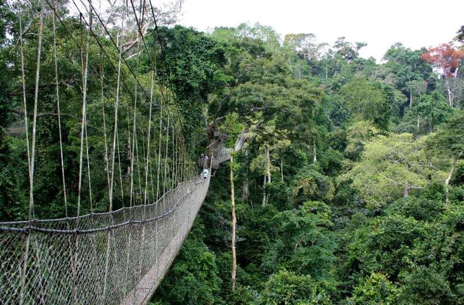 Kakum National Park